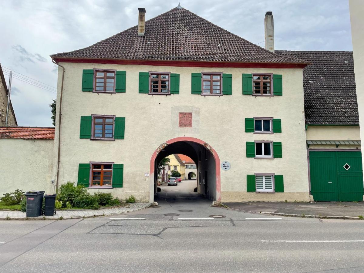 Ava - Heiligkreuztal